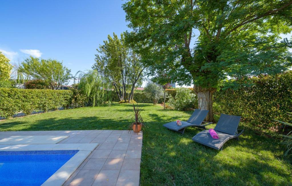 Villa Vigneri Novigrad  Exterior photo